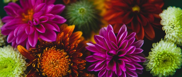 雷速体育比分直播 - 网页版在线足球,篮球直播平台 Leisu Sports