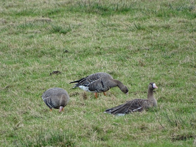 人的冷静与 人的冷静与
