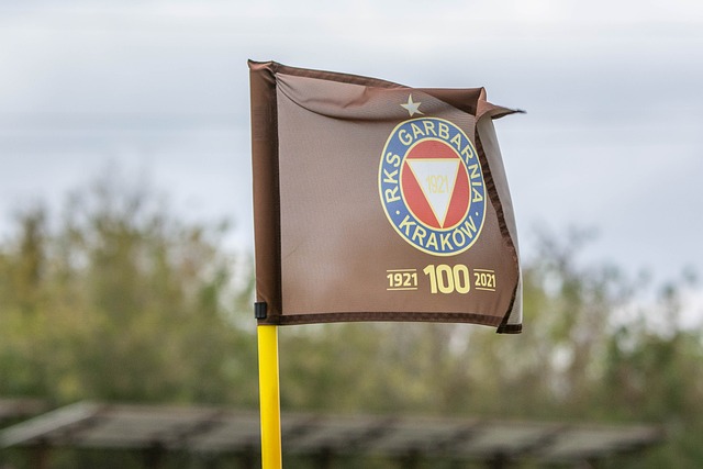 关键反弹 关键反弹