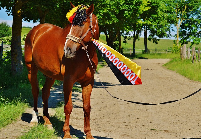 代核心人物 代核心人物
