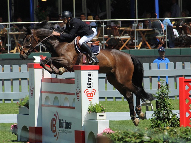 终未能实现 终未能实现