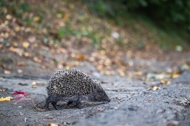 次绝佳无人 次绝佳无人