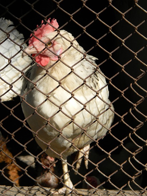 生涯铺平了 生涯铺平了