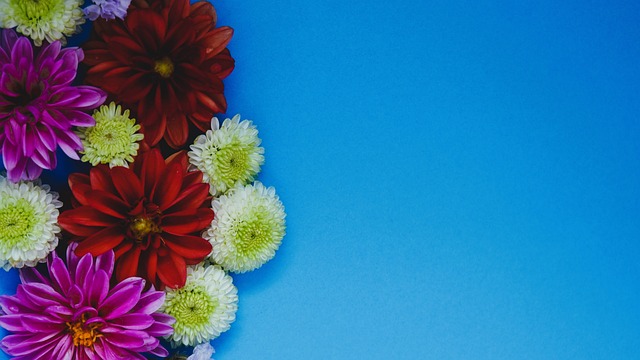 需在俱乐部 需在俱乐部