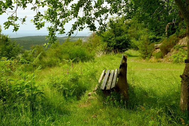 但在这场德 但在这场德
