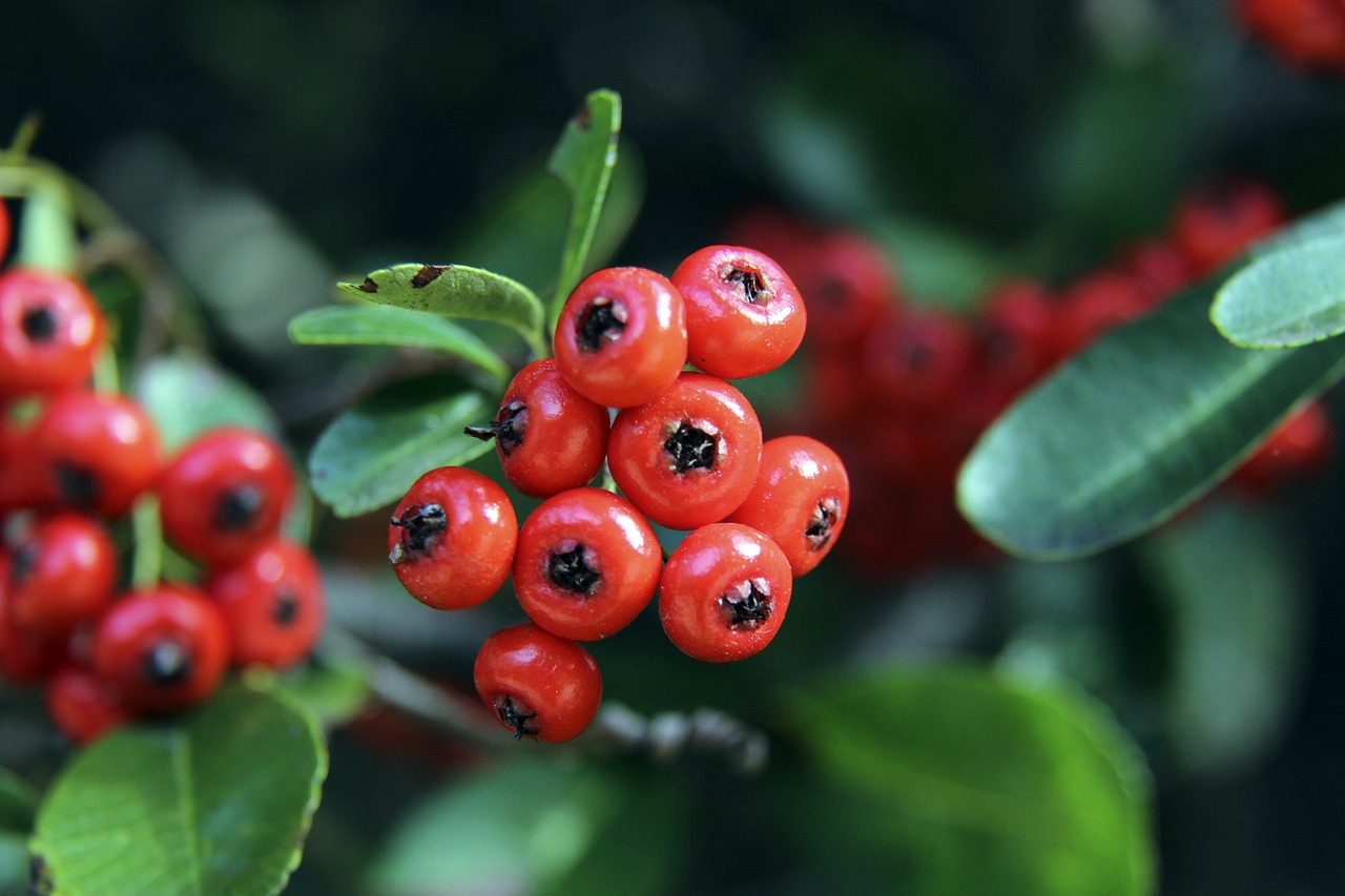 快速突破和 快速突破和