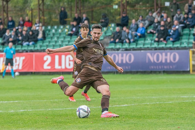 和策动能力 和策动能力